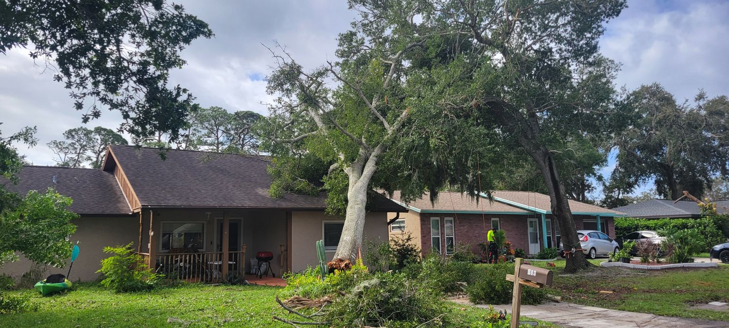 Large storm-damaged tree leaning onto a tan house roof; worker in hi-vis assessing the yard