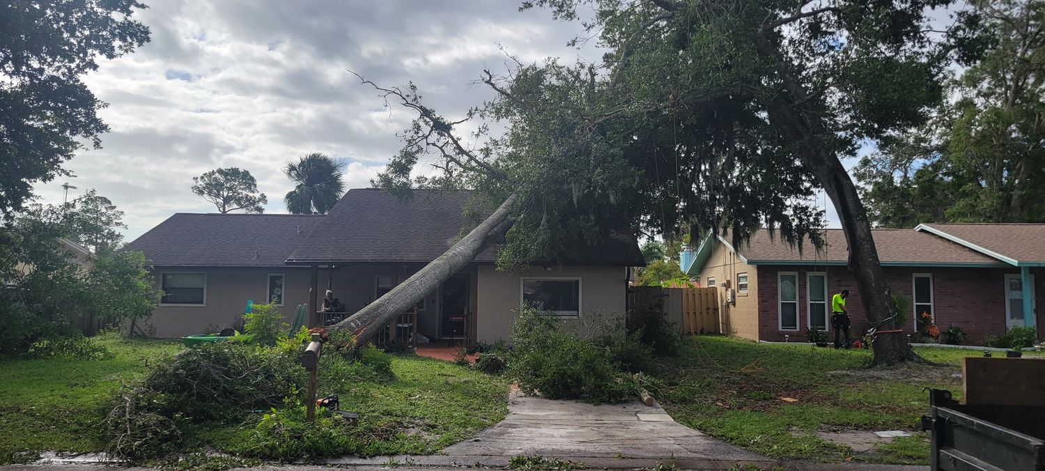 Emergency storm cleanup in progress: fallen tree on a house roof with rigging, debris piles, and a chainsaw