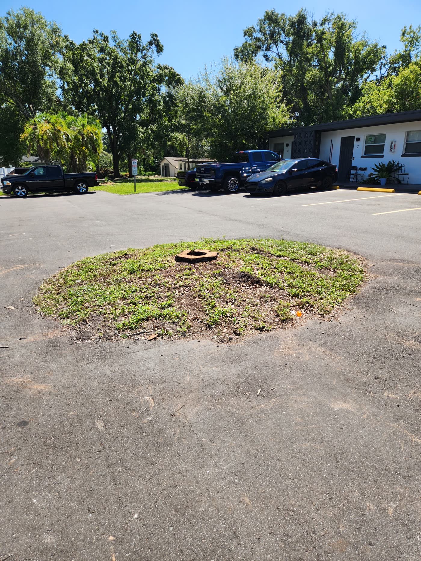 Tree stump remaining in a paved parking lot after removal
